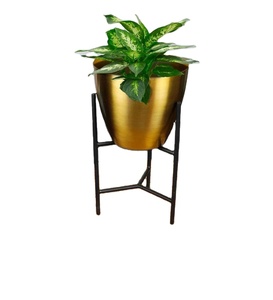 New Design Laser Cut Steel <b>Frame</b> With Matte Golden Pot & Matte <b>Black</b> Stand Handmade Powder Coat Finished for Indoor Use Only - Product Image 1