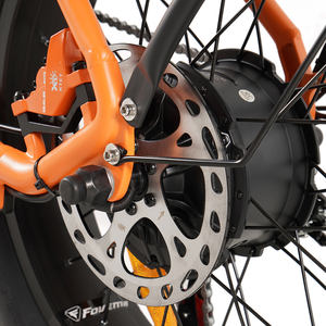 Bicicleta Eléctrica Híbrida para Adultos Vakole SG20 OEM/ODM, Fábrica China, Motor de 250W, Batería de Litio de 48V 14.4Ah, Neumático Grueso, 7 Velocidades - Product Image 5