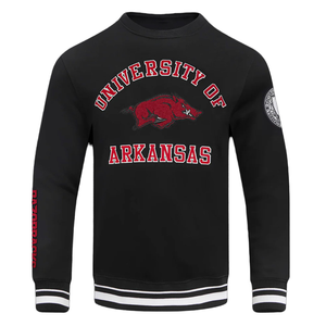 Arkansas State University Hoodies Sweats 100% coton de haute qualité avec capuche brodée Sweatshirts universitaires personnalisables - Product Image 4