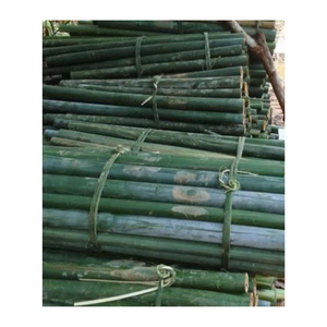 Bambú Vietnamita de Alta Calidad, Mitades de Varas de Bambú, Listones de Bambú Natural para Decoración de Muebles y Construcción - Product Image 3