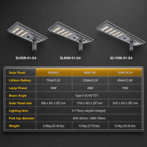 ไฟถนนโซลาร์เซลล์ LED สีดำ รุ่น Mono Si 2500 mAh พร้อมระบบกันน้ำ IP66 (อุปกรณ์เสริม) - Product Image 3