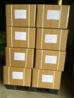 Café Instantáneo en Polvo al por Mayor # Gránulos de Café Robusta Liofilizado de Fácil Disolución 20kg a Granel_Dak Lak, Vietnam