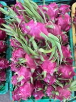 Vers Vietnam Drakenfruit Met Rode Schil En Levendig Vleesschoon Oppervlak En Rijke Smaak Verpakt Voor Export Naar Wereldmarkten