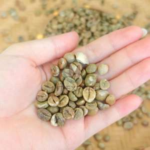 High Quality Robusta Coffee <b>Beans</b> High Ripeness Natural Unwashed Process Bulk Export 60kg PP <b>Bags</b> Direct Factory Wholesale - Product Image 6