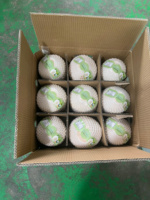 Verse Diamant Geslepen Kokosnoot Uit Vietnam Smooth White Shell Zoete Smaak Export Standaard Verpakt Voor De Detailhandel En Internationale Handel