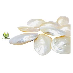 Bulk Natural Polished Pearl Shell Soap Dish Trinket Tray Beach Wedding Decoration Natural <b>MOP</b> Shell Candle Holder - Product Image 2