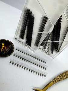 Extensions de cils pré-faits ultra-rapides 6D en gros, cils volumineux doux faits à la main en PBT coréen de haute qualité - Product Image 1