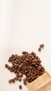 [Precio al por Mayor] Granos de Café Tostados a Granel, Mezcla de Robusta y Arábica, Tueste Intenso, Tueste Medio, Tueste Ligero, 60 kg/Bolsa - Product Image 4