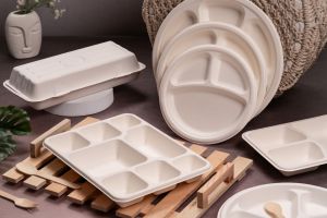 Assiette jetable biodégradable en bagasse de canne à sucre de 10 pouces, sans plastique, non toxique, certifiée ISO, compostable, écologique, sans BPA - Product Image 4