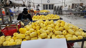 [Top Export] Meilleur prix pour les tranches d'ananas en conserve pour la distribution mondiale - Product Image 3