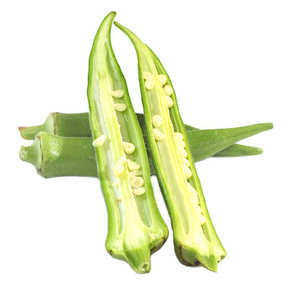 Okra vert frais – Meilleure qualité, biologique, frais, vente en gros du Vietnam // M. Tom - Product Image 4