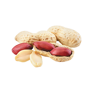 Snack Saludable: Cacahuetes Pelados de Primera Calidad a Granel de Fabricante INDIO - Product Image 5