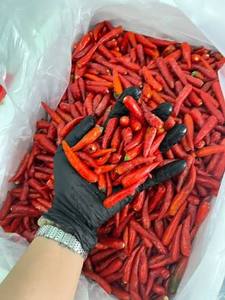 Piments rouges entiers surgelés IQF de qualité supérieure, qualité export en vrac, Vietnam - Product Image 1