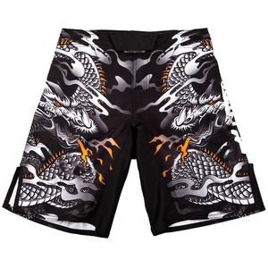 Fighting Wear MMA Shorts for Men's Adult Size Shorts Customized New Style 100% Spandex\Polyester made Men's Shorts for Sale - Product Image 1