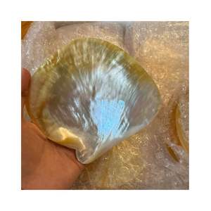 Juego de 2 Platos para Pastel de Concha de Ostra Negra Dorada SUPER SHINE, Hechos a Mano, Ecológicos, de 9-15 cm, con Reflejos Brillantes - Product Image 1