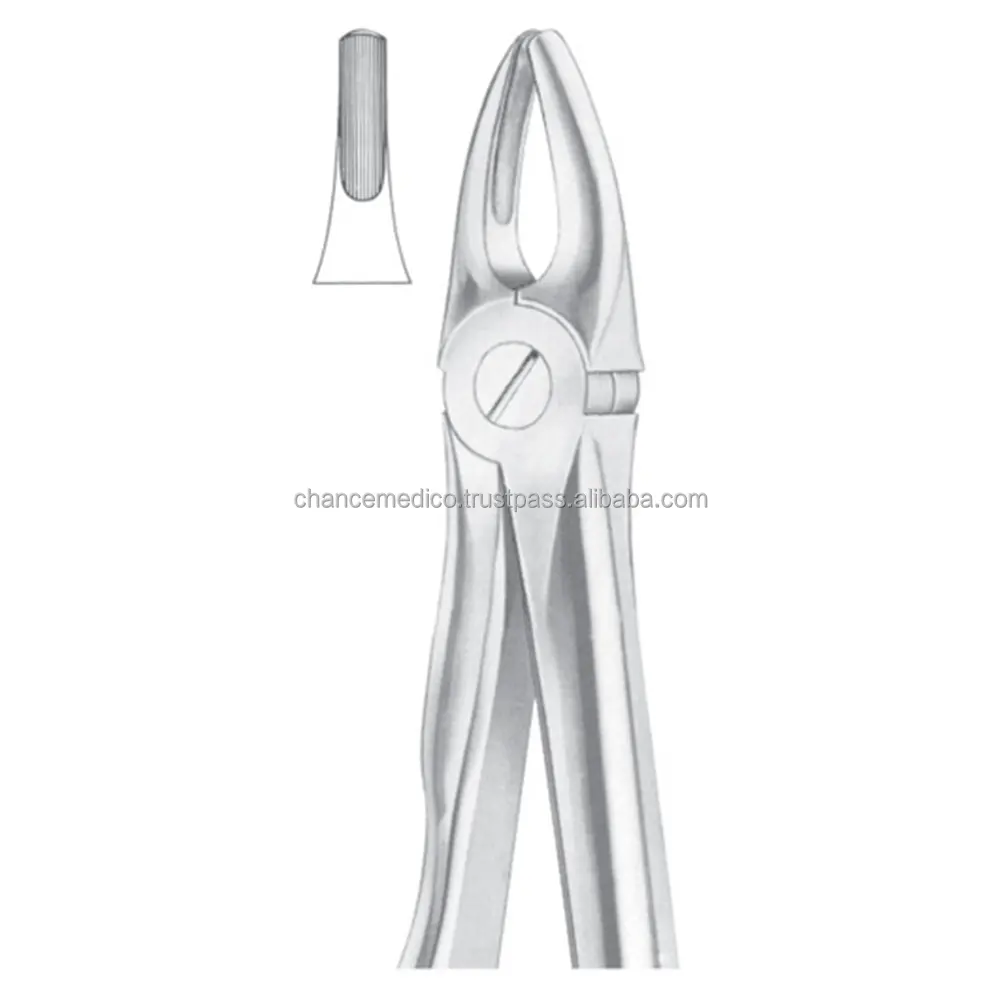 Nha khoa chiết xuất forceps hình 2 trên bên và Răng Nanh tiếng anh mô hình Đức thép không gỉ sử dụng dụng cụ phẫu thuật nha khoa