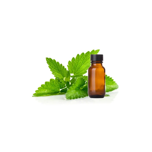 Huile Essentielle d'Extrait de Patchouli 100% Pure et Naturelle en Gros à Prix Avantageux - Product Image 2