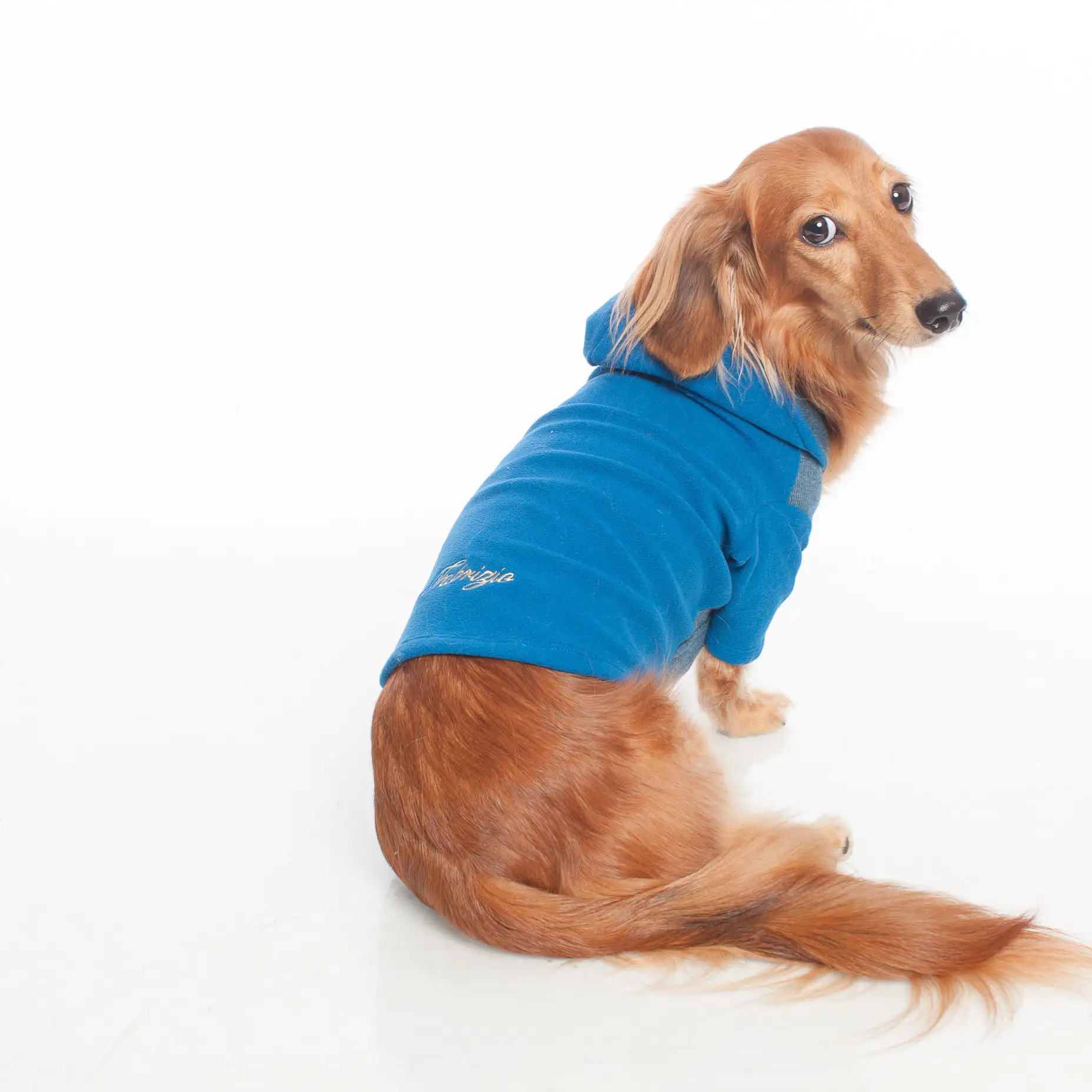ODM ไต้หวันผลิตเสื้อสุนัขมีฮู้ดเสื้อผ้าสัตว์เลี้ยงฤดูหนาว