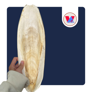 Hueso de Sepia Natural Seco Entero de 20-25cm para Aves y Loros, Recortador de Pico, Suministros Ecológicos para Mascotas, ¡Venta Caliente! - Product Image 1