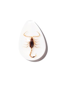 Cabochon Golden Scorpion Pear Shape cut <b>top</b> 25x17 mm White Flat Bottom for Crafts and Jewelry Making - Product Image 3