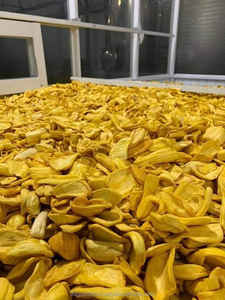 Chips de Jackfruit secos al vacío naturales orgánicos CRUNCHY y DULCE de Jackfruit fresco seco para comida de postre-Caryln - Product Image 2