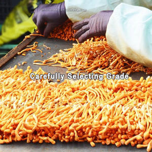 בתפזורת קורדיציפים mitaris פרחים ראש גדול מיובש כיתה העליון של פטריית מרפא פרמיה אורגנית תמצית/אבקה/בישול - Product Image 4