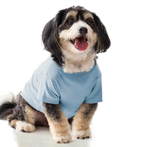 Camiseta para mascotas de diseño personalizado, ropa ligera de verano para perros, chaleco liso para mascotas, ropa cómoda para cachorros, directamente de fábrica. - Product Image 5