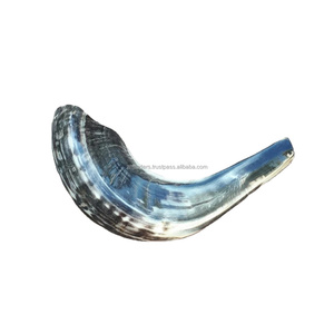 Trompette Sofarhorn Viking de luxe polie, à base d'animal, avec fonction imperméable, fabriquée en véritable corne de bœuf, embout en agate pour usage cérémonial - Product Image 1