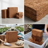 Bloc de tourbe de coco compressée en vrac de 5 kg pour l'exportation, idéal pour l'agriculture en serre, la propagation en pépinière et le substrat de jardin