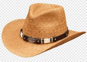 Chapeau Sombrero Unisexe en Coton à Carreaux Viet Delta Giant Zapata 100% Coton pour Adulte, Style Fiesta Espagnole et Mexicaine - Hazel - Product Image 6