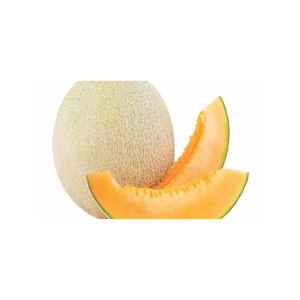 Melón Cantalupo Fresco Premium, Dulce y Jugoso, para Distribución al por Mayor y Mercado de Exportación - Product Image 1