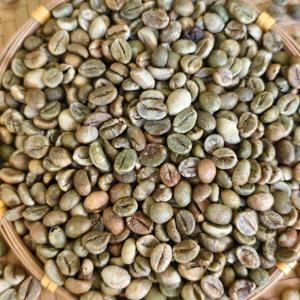 Café Robusta de qualité d'exportation standard, grain de café de calibre 16, faible teneur en humidité, matière première pour torréfaction, sac en jute de 60 kg, usage professionnel - Product Image 3