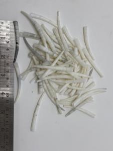Natural Smooth White Dentalium <b>Shell</b> Beads Polished Tubular Craft Jewelry Making Supplies Bulk Wholesale - Product Image 3