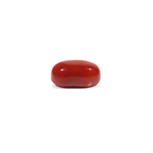 Premium Natural Red Coral 5.15 Carat Oval Cabochon Loose Gemstone for Fine Jewelry - Product Image 3