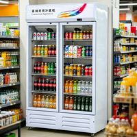 Réfrigérateur vertical commercial à LED, refroidi par air, à température unique, pour la présentation de boissons en supermarchés