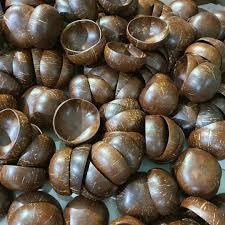 Tazón de Coco Natural Premium Hecho a Mano, Vajilla Ecológica para Uso en el Hogar y la Cocina - BLUE LOTUS de Vietnam - Product Image 4