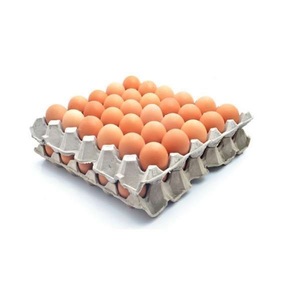 Huevos Frescos de Gallina para la Industria Alimentaria y Catering - Product Image 3