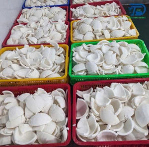 Iqf เนื้อมะพร้าวแช่แข็งเนื้อมะพร้าวธรรมชาติผลิตจากโรงงานในเวียดนาม - Product Image 5