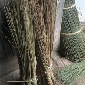 Palos de Escoba con Mango de Palma para Uso en Exteriores, Hogar y Jardín - Sapu Lidi - Product Image 5