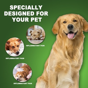 Gotas para el Tracto Urinario de Perros PetKidneyHealth OEM/ODM, Fórmula Orgánica Suave con Calcio y Frutas para la Salud Digestiva, para Todas las Etapas de la Vida - Product Image 4