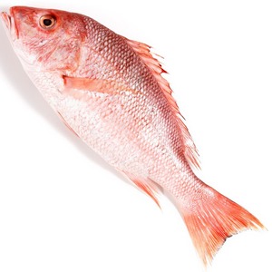 Pescado de cebreja negra congelado de primera calidad, cebreja negra congelada individualmente - Product Image 3