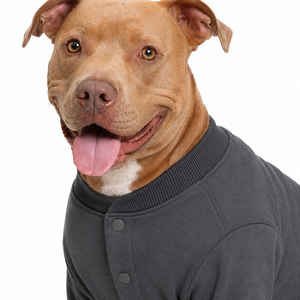 Dog Knit Solid Color Coat Comfortable Leisure All Seasons <b>Pet</b> Clothes for Dogs - Product Image 6
