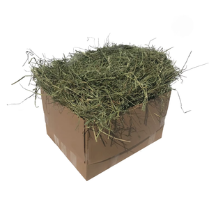 Foin d'alfalfa premium séché au soleil pour l'alimentation animale, contenant 95 % de fibres naturelles, offrant une qualité supérieure pour l'exportation - Product Image 3