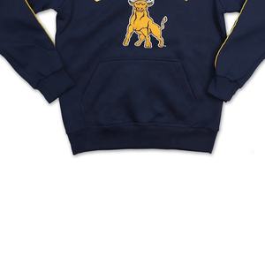 Sweats à capuche bleu marine avec logo Color University Wear Sororities - Product Image 5