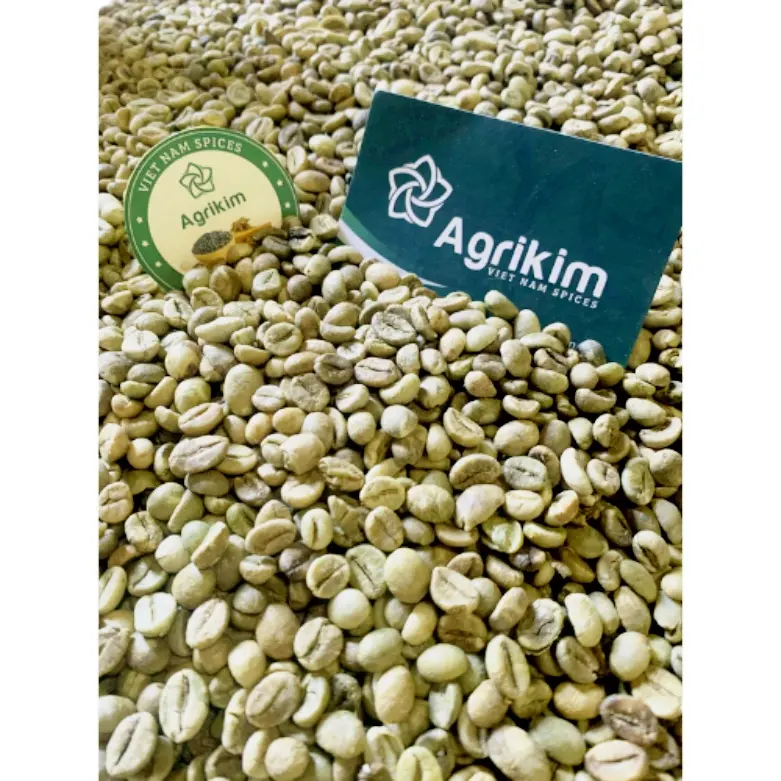 वियतनामी कॉफी फैक्ट्री कच्ची कॉफी बीन उच्च गुणवत्ता वाली बीन्स थोक कस्टम ब्रांड कॉफी बीन्स अरबीका बैग