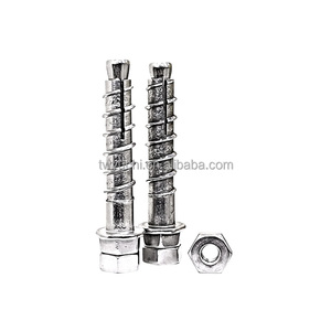Boulon d'expansion galvanisé pour des projets de construction de charge lourde - Product Image 3