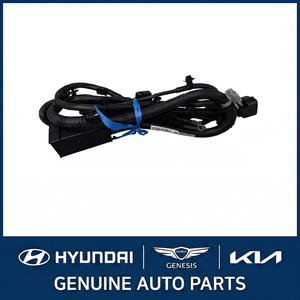 Sportage New Wiring <b>Harnesses</b>, Cables & Connectors 912001F150 - Product Image 4