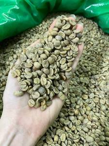 New Harvest Vietnam Green Coffee Beans Arabica Robusta Grade1 clean scr16 s18 Packaged 60kg PP jute <b>bag</b> dry wet processed - Product Image 4