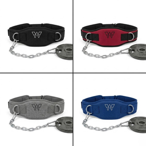 Heavy Duty Dip <b>Belt</b> with Steel <b>Chain</b> for Weighted Pull Ups Dips Strength Training Gym Fitness Equipment. - Product Image 2