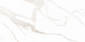 Azulejos de Cerámica con Acabado Pulido Modelo 1198-L 300x600mm - Product Image 1